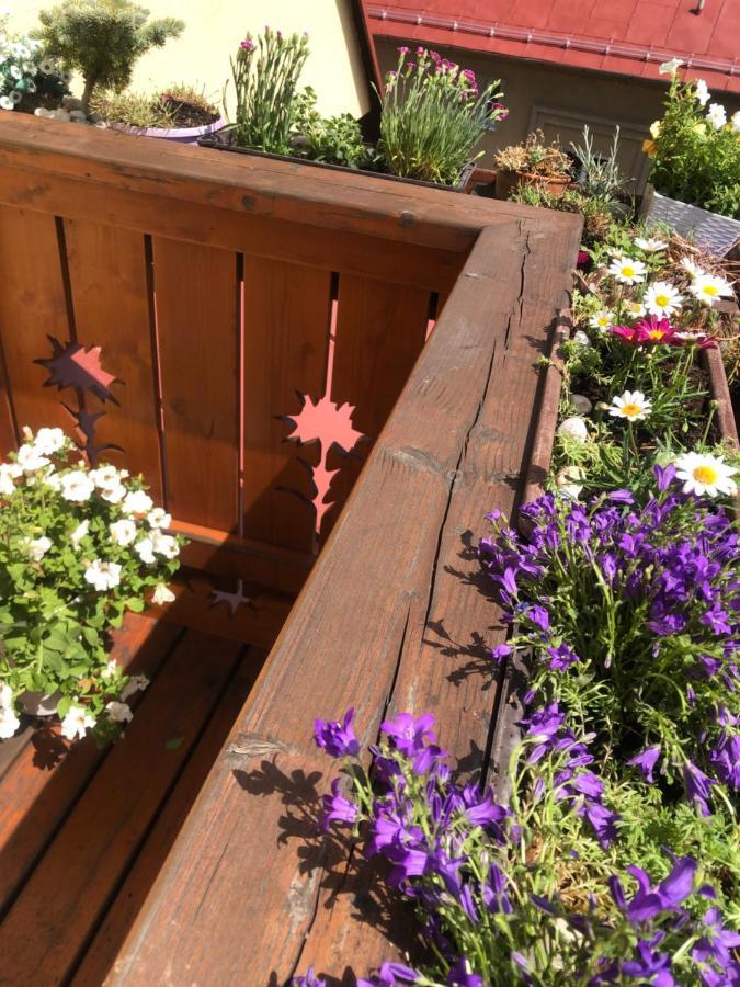 Apartman Relax Vysoké Tatry Εξωτερικό φωτογραφία